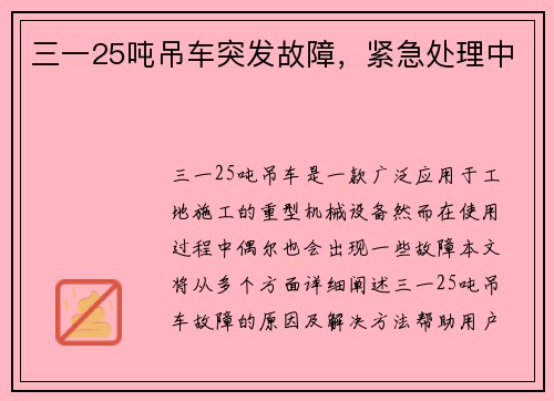 三一25吨吊车突发故障，紧急处理中