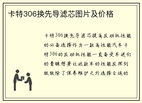 卡特306换先导滤芯图片及价格